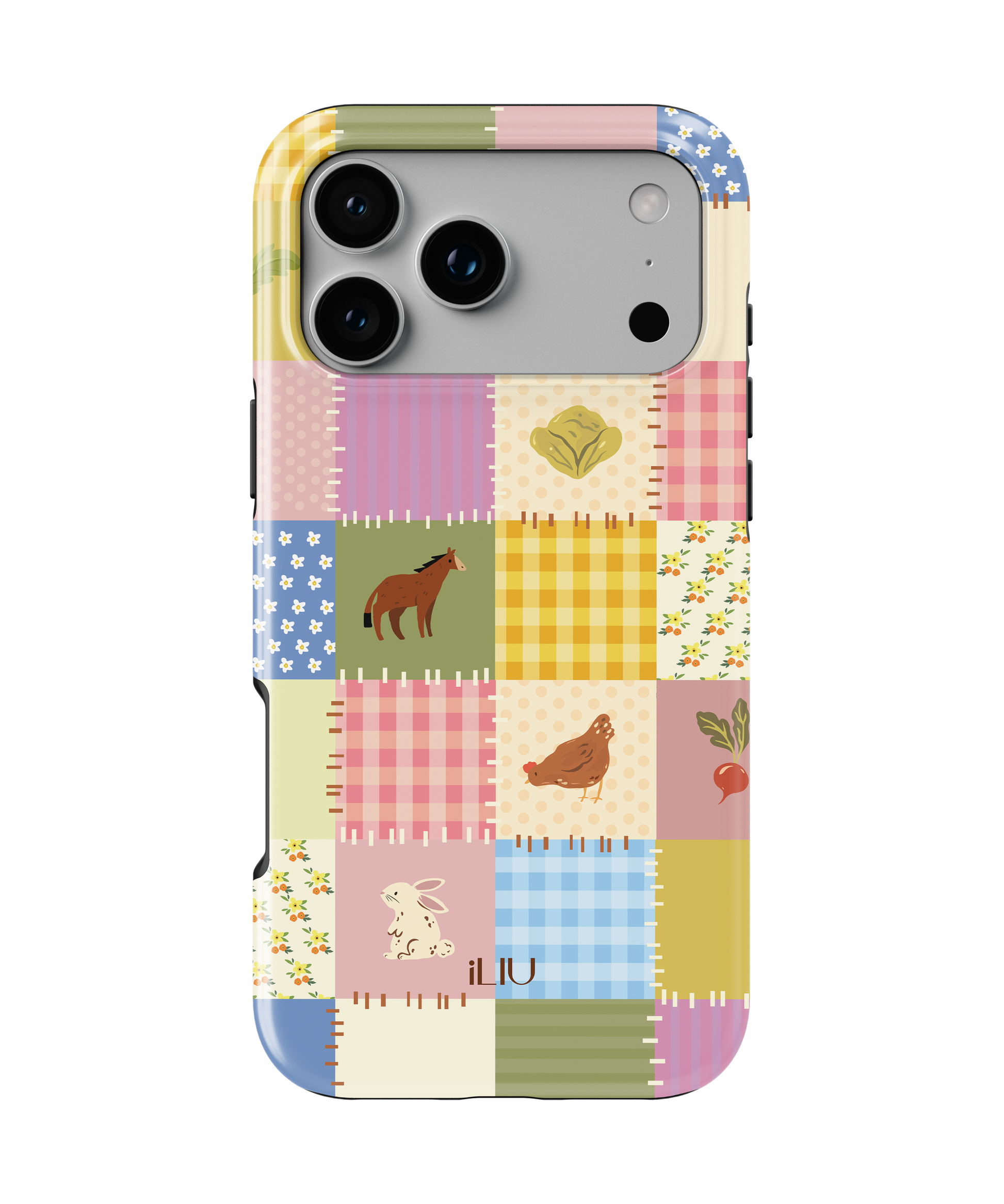 Frankie case iLIU vista 1