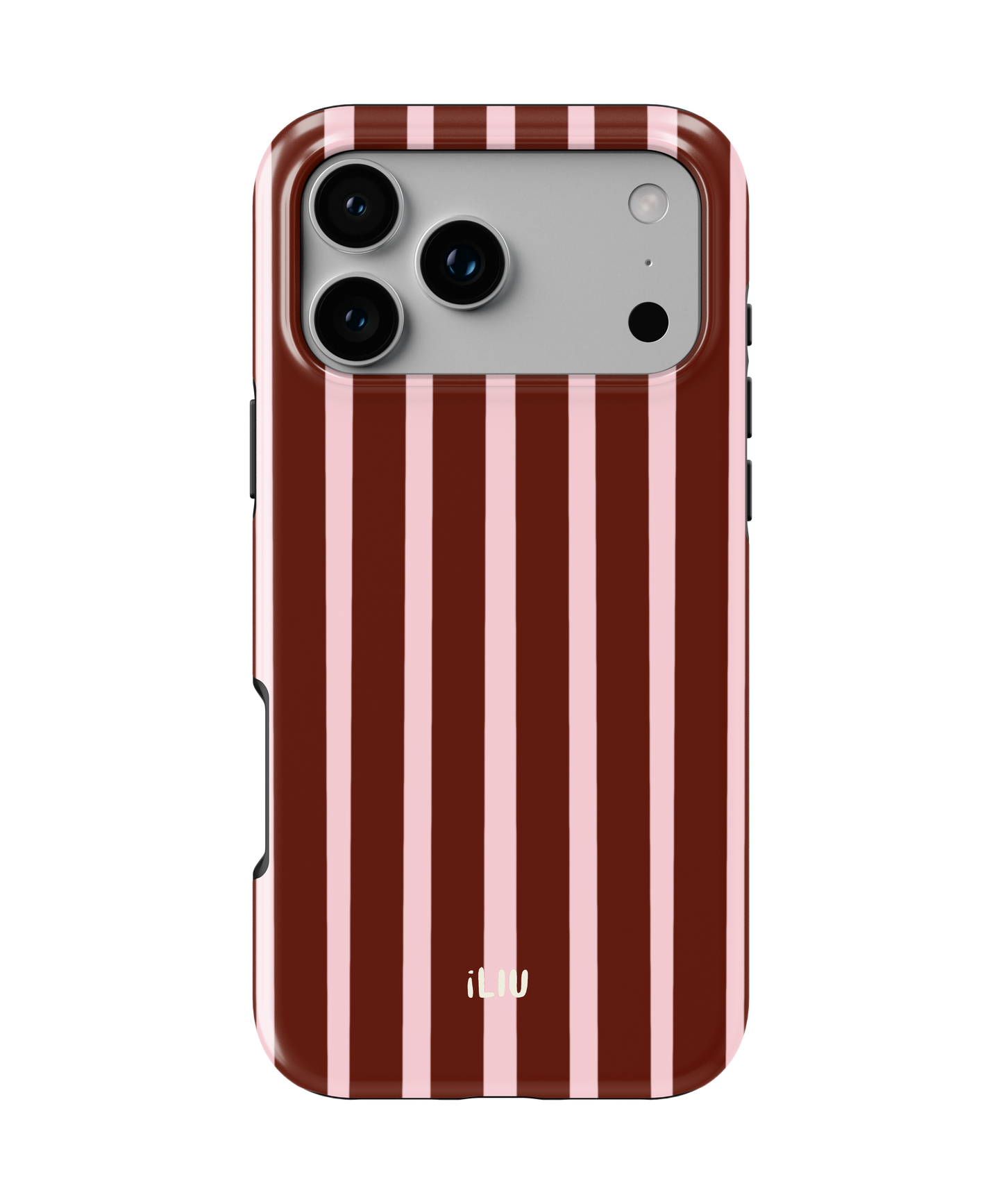 Winterberry case iLIU vista 1