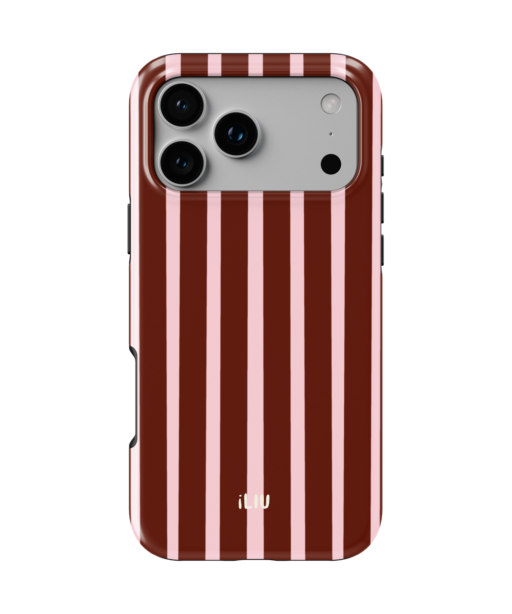 Winterberry case iLIU vista 1