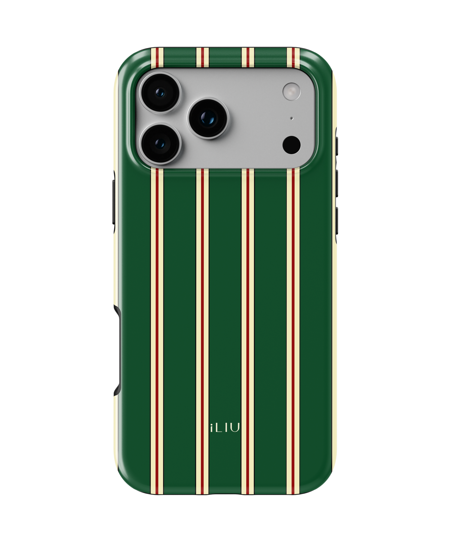 Winter Leftovers case iLIU vista 1